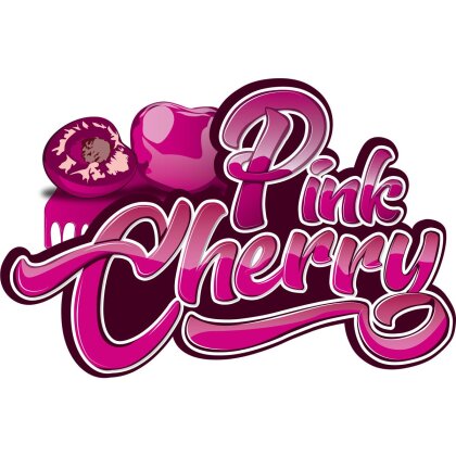 Pink Cherry Autoshampoo, 500ml